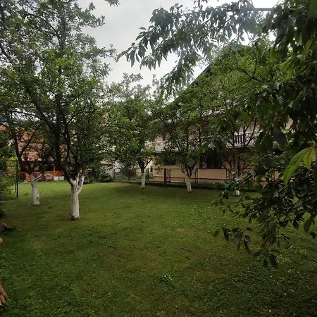 Paradise Apartment *