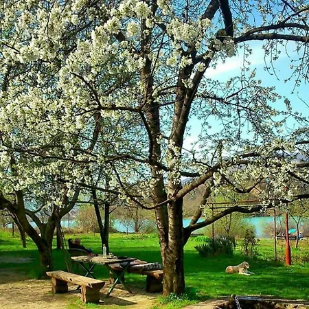 Paradise *